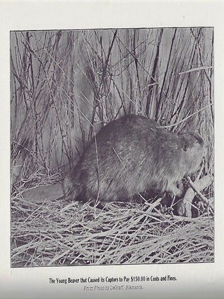 Beavers and their Ways and Other Sketches