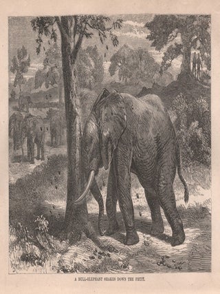 Item #13139 Ismalia, A Narrative of the Expedition to Central Africa for the Suppression of the...