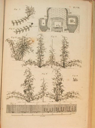 Rural Economy: Containing a Treatise on Pisé Building; As recommended by the Board of Agriculture in Great Britain, with Improvements by the Author; On buildings in general; Particularly on the Arrangement of those belonging to Farms; On the Culture of the Vine; and on Turnpike Roads