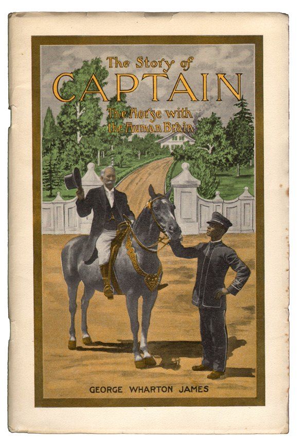 Item #17628 The Story of Captain, The Horse with the Human Brain. ANIMALS, George Wharton James.