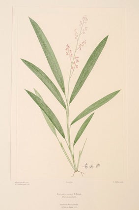 Banks' Florilegium, A Publication in Thirty-Four Parts of Seven Hundred and Thirty-Eight Copperplate Engravings of Plants Collected on Captain James Cook's First Voyage Round the World in H.M.S. Endeavour, 1768-1771. Volume XV, Australia Plates 316-337