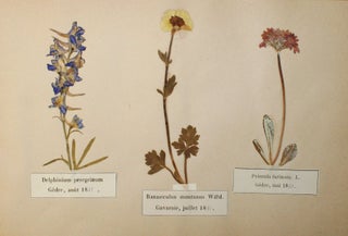 Item #18132 Album of 52 Labeled Specimens from the Pyrenees Collected by a Noted French Botanist,...