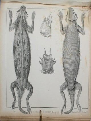 Report of an Expedition Down the Zuni and Colorado Rivers