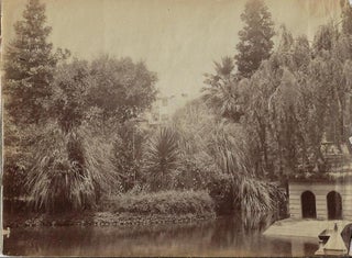 Souvenir Album of Original Photographs of Madeira, Including a Large Panorama
