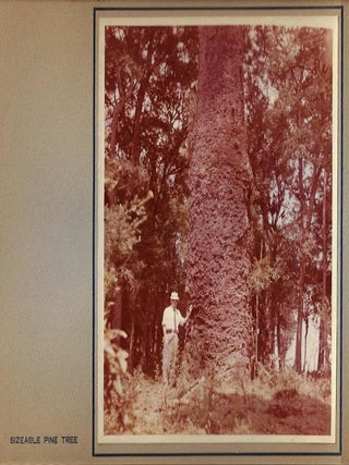 Paraná Pine, An Album of 33 Original Photos of the Logging, Sawmill, and Shipping Operations of M. Lepper & Cia., in Santa Catarina, Brazil
