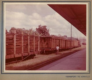 Paraná Pine, An Album of 33 Original Photos of the Logging, Sawmill, and Shipping Operations of M. Lepper & Cia., in Santa Catarina, Brazil