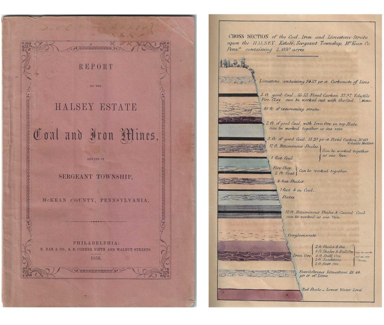 Item #20832 Report on the Halsey Estate Coal and Iron Mines Situate in Sergeant Township, McKean County, Pennsylvania. PENNSYLVANIA.