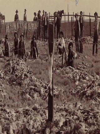 Four Boudoir Photographs of a Jack Rabbit Drive held in Fresno, California, March 10, 1892
