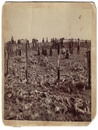 Four Boudoir Photographs of a Jack Rabbit Drive held in Fresno, California, March 10, 1892