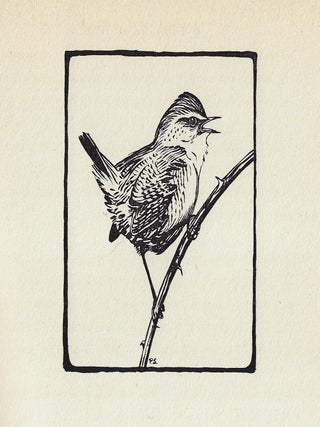 A Bird in the Bush