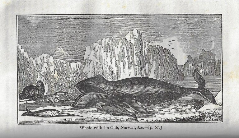 Item #21446 Narrative of Discovery and Adventure in the Polar Seas and Regions: With Illustrations of Their Climate, Geology, and Natural History; and an Account of the Whale-Fishery. Professor Leslie, Professor Jameson, Hugh Murray, Sir John.