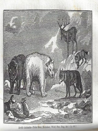 Narrative of Discovery and Adventure in the Polar Seas and Regions: With Illustrations of Their Climate, Geology, and Natural History; and an Account of the Whale-Fishery