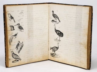 Item #21590 Histoire Naturelle (French Manuscript on Natural History with 86 Hand-Drawn...