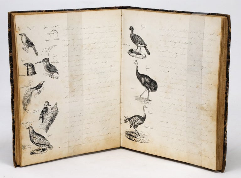 Item #21590 Histoire Naturelle (French Manuscript on Natural History with 86 Hand-Drawn Illustrations, ca. 1840).