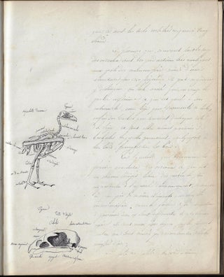 Histoire Naturelle (French Manuscript on Natural History with 86 Hand-Drawn Illustrations, ca. 1840).