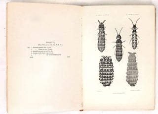Harriman Alaska Series Volumes VIII and IX: Insects