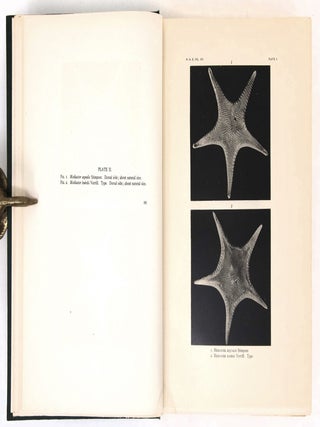 Harriman Alaska Series Volume XIV, Part 1 (text) and Part 2 (plates). Monograph of the Shallow-water Starfishes of the North Pacific Coast from the Arctic Ocean to California