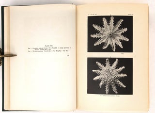 Harriman Alaska Series Volume XIV, Part 1 (text) and Part 2 (plates). Monograph of the Shallow-water Starfishes of the North Pacific Coast from the Arctic Ocean to California