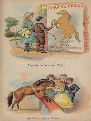 The Life of a Pony
