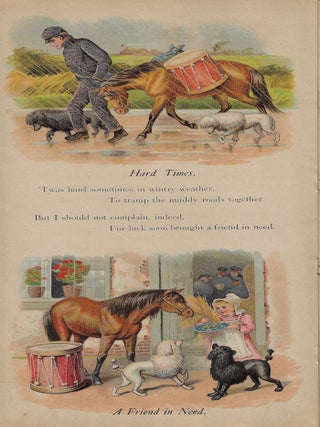The Life of a Pony