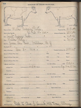 Herd Register of a Goshen, New York, Breeder of Purebred Dairy Cattle, 1901-1920