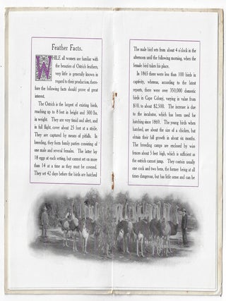 Catalogue of the Ostrich Farm Feather Co., 1909