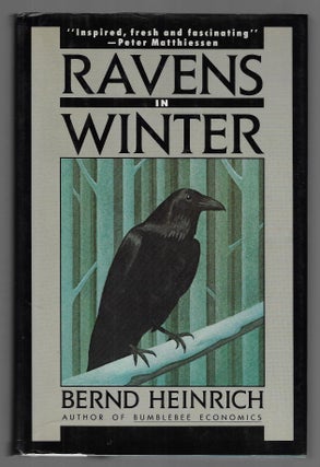 Item #22463 Ravens in Winter. Bernd Heinrich
