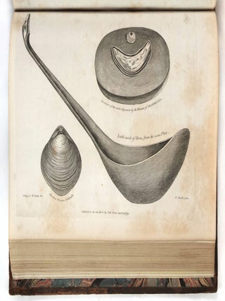 A Voyage Round the World; But More Particularly to the North-West Coast of America: Performed in 1785, 1786, 1787, and 1788, in the King George and Queen Charlotte, Captains Portlock and Dixon