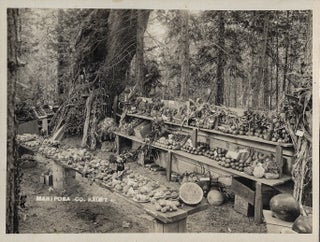 Item #22999 Photograph of a Mariposa County, California, Produce Exhibit, ca. 1915