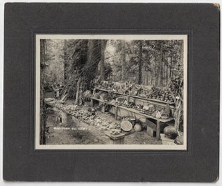 Photograph of a Mariposa County, California, Produce Exhibit, ca. 1915