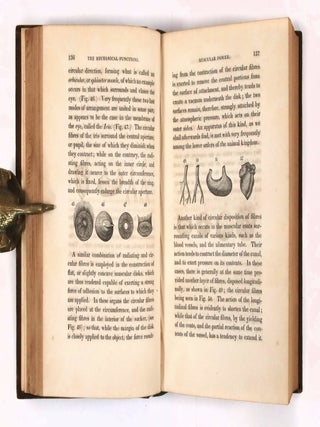 Animal and Vegetable Physiology Considered with Reference to Natural Theology
