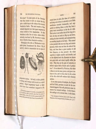 Animal and Vegetable Physiology Considered with Reference to Natural Theology