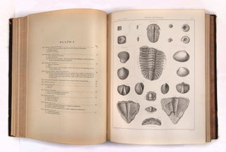 United States Geological Exploration of the Fortieth Parallel, Volume IV: Part I, Palaeontology by F.B. Meek; Part II: Palaeontology by James Hall and R.P. Whitfield; Part III: Ornithology by Robert Ridgway