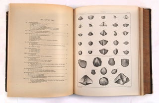 United States Geological Exploration of the Fortieth Parallel, Volume IV: Part I, Palaeontology by F.B. Meek; Part II: Palaeontology by James Hall and R.P. Whitfield; Part III: Ornithology by Robert Ridgway