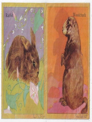 Baby's Animal Book