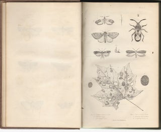 Item #2327 First and Second Report on the Noxious, Beneficial and Other Insects of the State of...