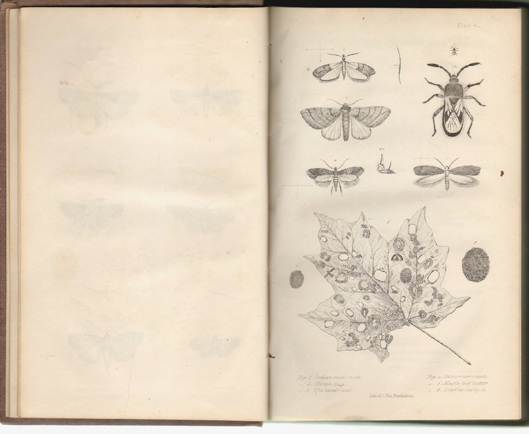 Item #2327 First and Second Report on the Noxious, Beneficial and Other Insects of the State of New-York. Asa Fitch.