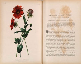 The Native Flowers and Ferns of the United States in their Botanical, Horticultural, and Popular Aspects [First Series, Two Volumes]
