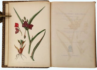 The Native Flowers and Ferns of the United States in their Botanical, Horticultural, and Popular Aspects [First Series, Two Volumes]