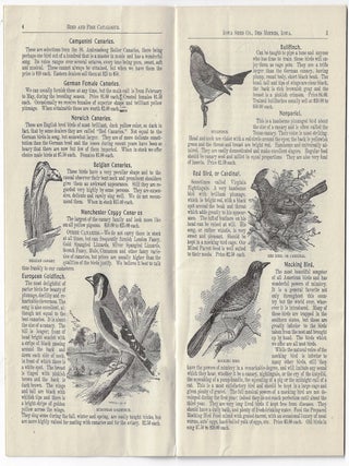 Illustrated Catalogue of Birds, Gold Fish, and Rare Sea Shells
