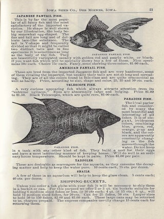 Illustrated Catalogue of Birds, Gold Fish, and Rare Sea Shells