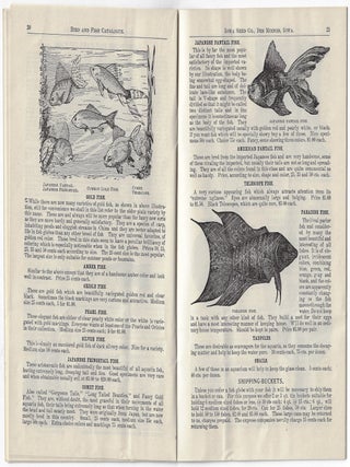 Illustrated Catalogue of Birds, Gold Fish, and Rare Sea Shells
