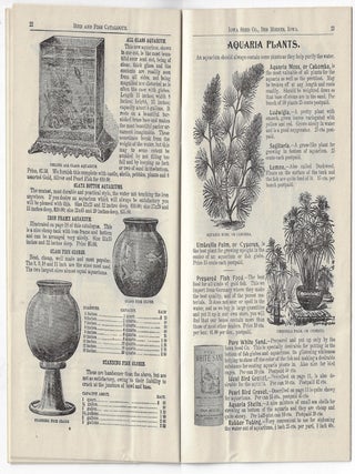 Illustrated Catalogue of Birds, Gold Fish, and Rare Sea Shells