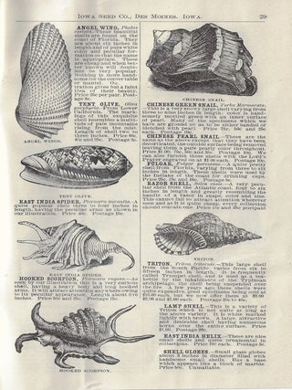 Illustrated Catalogue of Birds, Gold Fish, and Rare Sea Shells