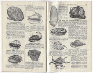 Illustrated Catalogue of Birds, Gold Fish, and Rare Sea Shells