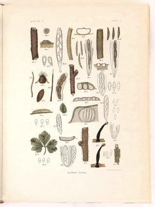 Harriman Alaska Series Volume V: Cryptogamic Botany
