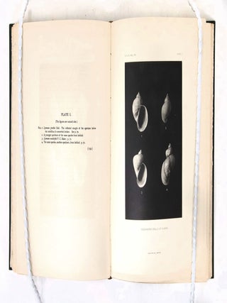 Harriman Alaska Series Volume XIII: Land and Fresh Water Mollusks. Hyroids