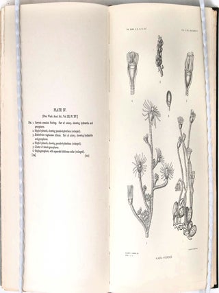Harriman Alaska Series Volume XIII: Land and Fresh Water Mollusks. Hyroids