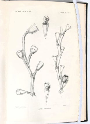 Harriman Alaska Series Volume XIII: Land and Fresh Water Mollusks. Hyroids