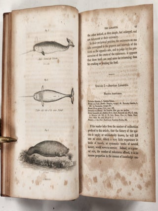 American Natural History